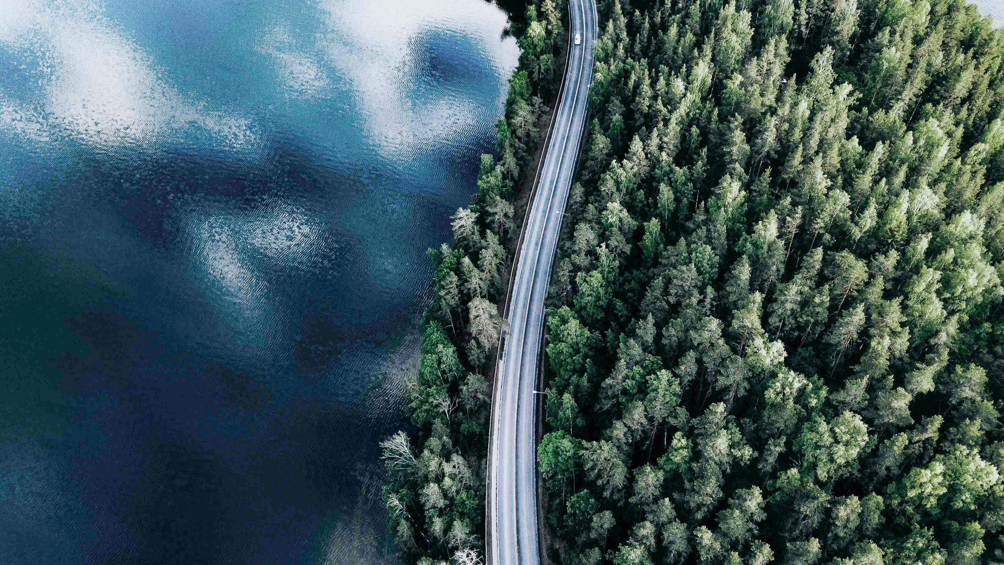 Bilväg mellan skog och sjö